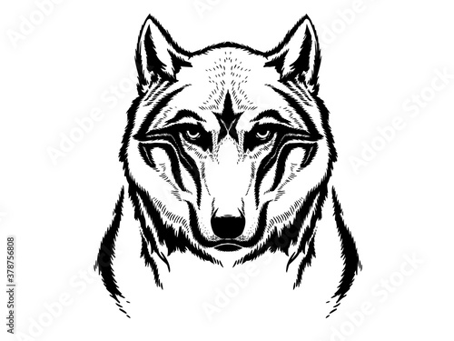 Wolf's face