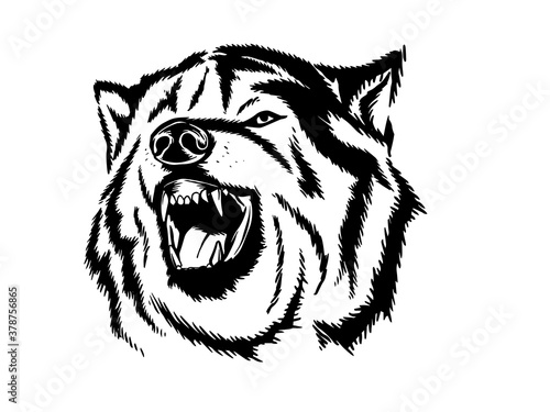 Wolf's face