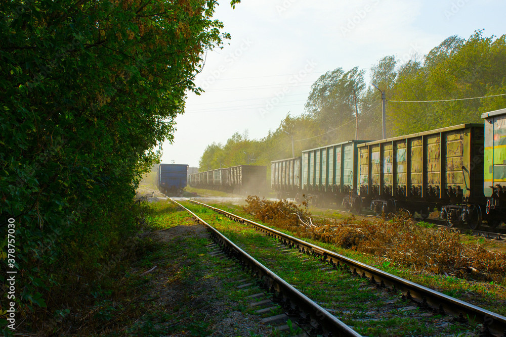 Fototapeta premium railway in the countryside