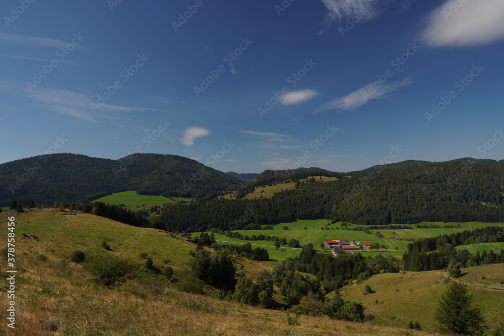 Fototapeta premium Schöner Ausblick im Schwarzwald 