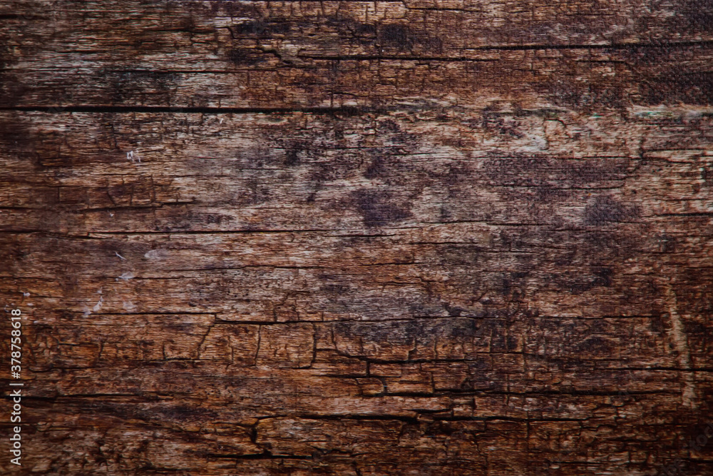 Close-up photographic background of a wooden surface. Large space for artwork, lettering or logo. Copyright space for site