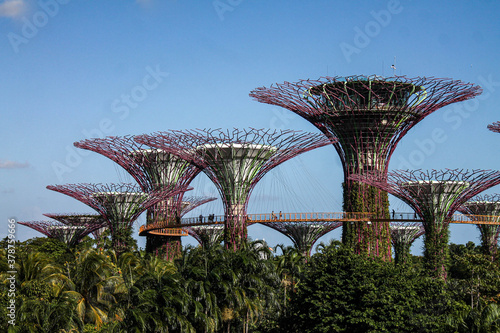 Tree Gardens in Singapore © SWOF.ph