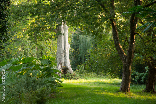 Park von Windeck bei Ottrott im Elsass