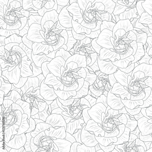 Realistic gardenia flower seamless pattern template in black and white. Jessamine vector illustration for games, background, pattern, decor. Print for textile, fabrics and other surfaces. Coloring pap