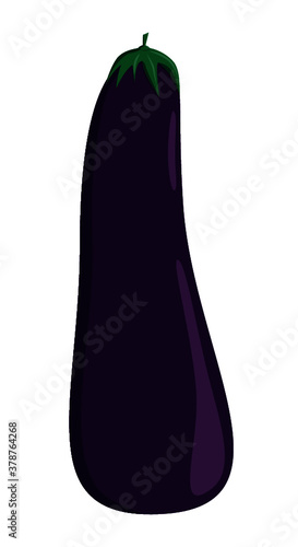 aubergine flat illustration for menu or design