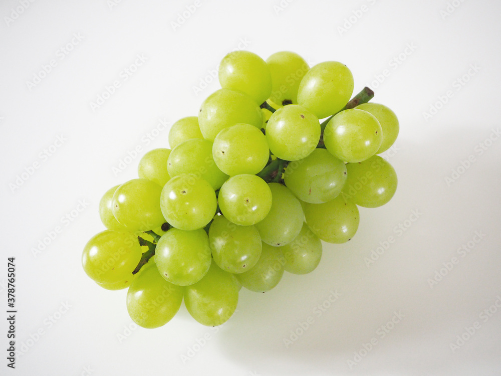 Grape HoneyVenus