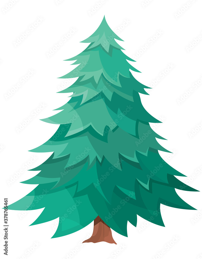 Spruce isolated on white background. Conifer tree in cartoon style. Spruce isolated on white background. Conifer tree in cartoon style.