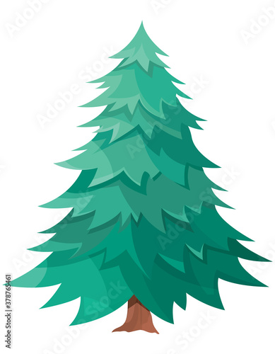 Spruce isolated on white background. Conifer tree in cartoon style.