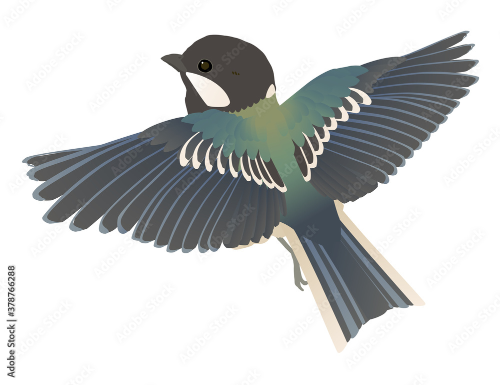 Obraz premium 羽ばたくかわいいシジュウカラのベクターイラスト