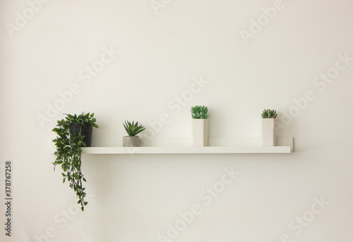 white wall with shelf with green small plants. minimal decoration at home