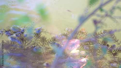 A high angle shot of a reflective lake surface
