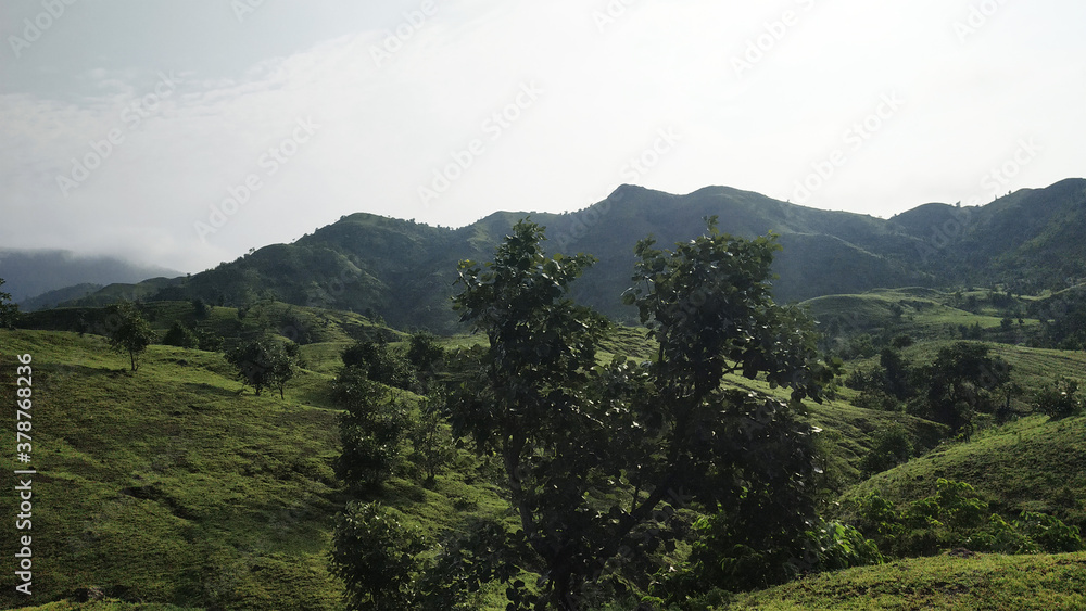 Fototapeta premium Traveling through the nature.