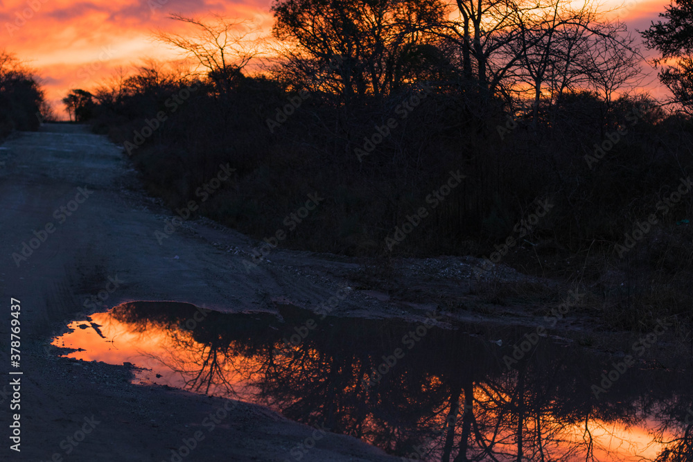 sunset reflected in a puddle