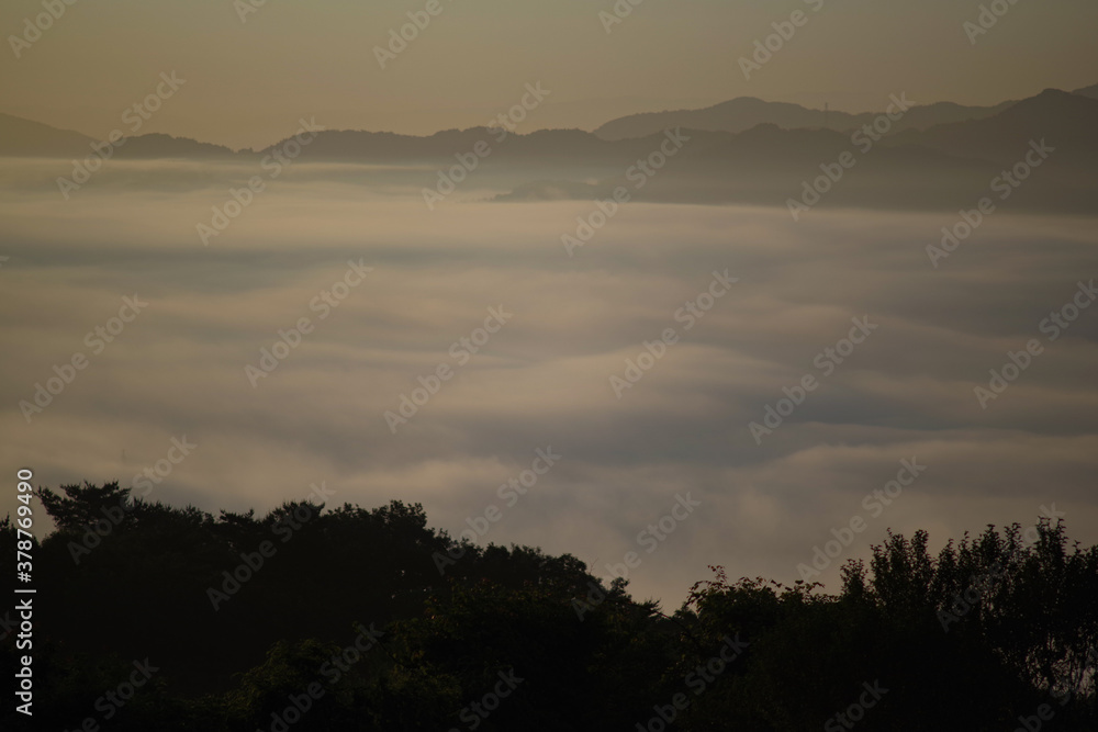 Fototapeta premium sunrise over the river