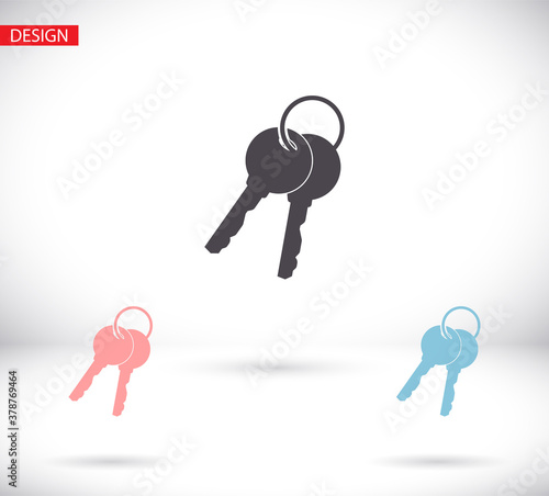 Vector icon key, design illustration for web key. Flat style key.