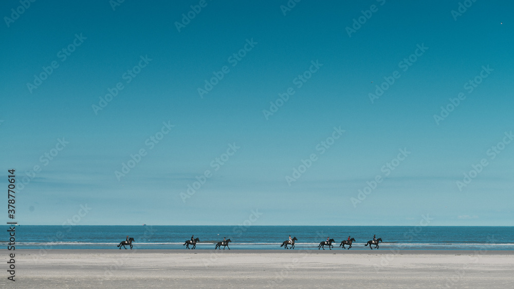 7 horse riders on the beautiful beach of Ameland during the day in the sun, Dutch Wadden island, nature photo