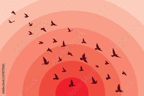 Flying birds silhouettes on white background. Vector illustration. isolated bird flying. tattoo and wallpaper background design.