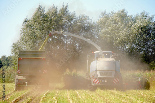 Landwirtschaft: Maishäcksler und Traktor mit Anhänger bei der Ernte von Mais auf einem Feld © keBu.Medien