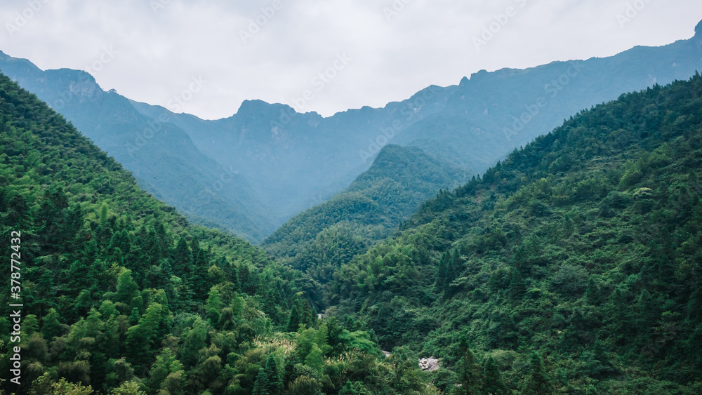 Mountains covered by trees and fog on Wugong Mountain in Jiangxi, China