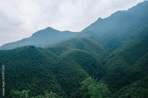 Mountains covered by trees and fog on Wugong Mountain in Jiangxi, China