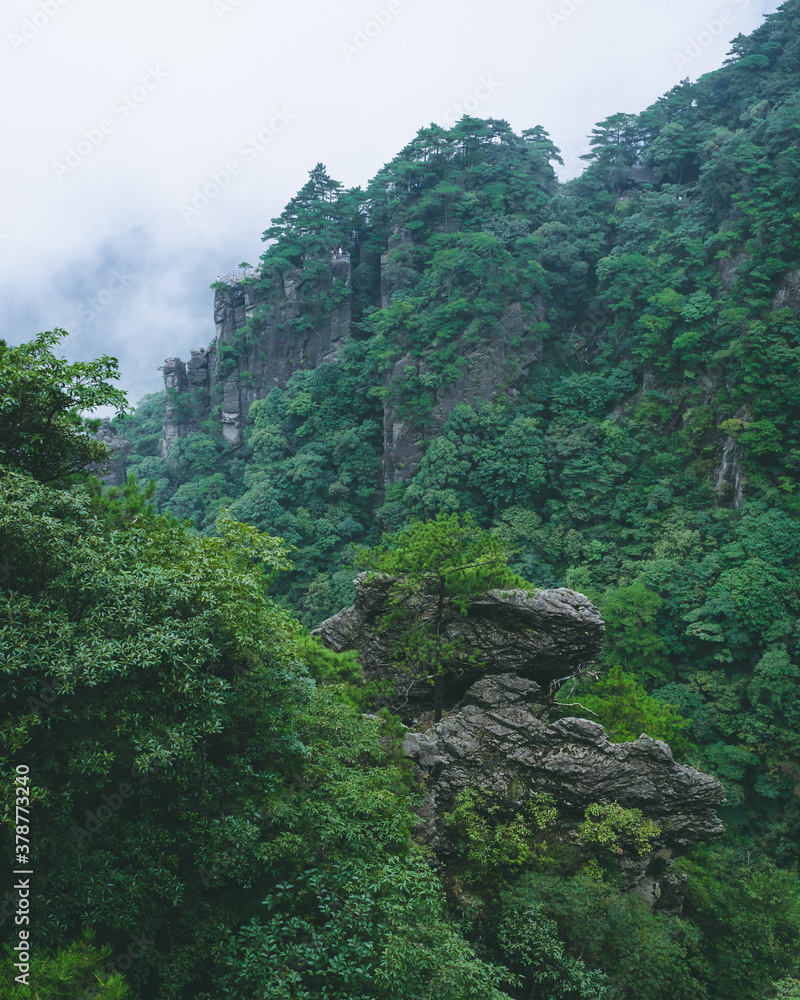 Trees and cliffs on top of Wugong Mountain in Jiangxi, China