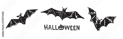 Bat sketch. Hand drawn illustration.