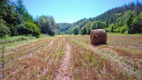 Hay Bales On Field with flowers and blue sky at summertime