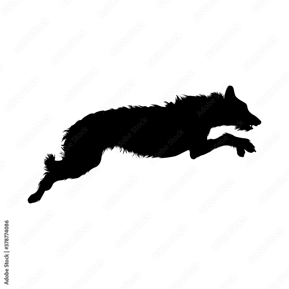 Jumping Irish Wolfhound On a Side View Silhouette Found In Ireland. Good To Use For Element Print Book, Animal Book and Animal Content