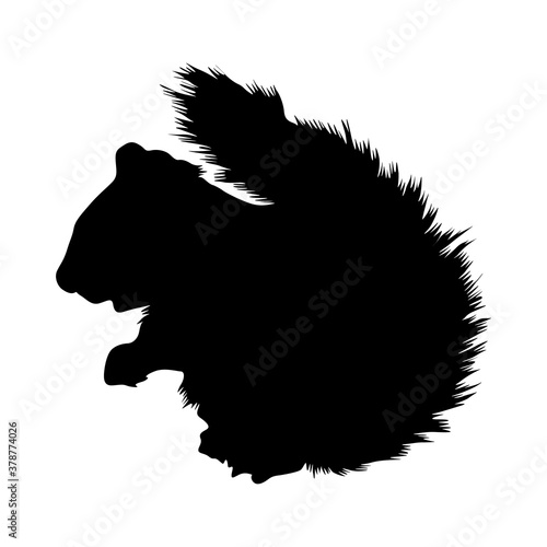 Standing Indian Palm Squirrel (Funambulus Palmarum) On a Side View Silhouette Found In Map Of India And Sri Lanka. Good To Use For Element Print Book, Animal Book and Animal Content