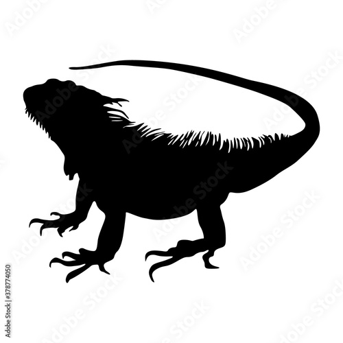 Standing Iguana (Iguana Iguana) On a Side View Silhouette Found In Map Of entral and south America, and the Caribbean. Good To Use For Element Print Book, Animal Book and Animal Content