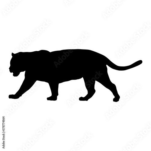 Standing Jaguar (Panthera Onca) On a Side View Silhouette Found In Map Of America. Good To Use For Element Print Book, Animal Book and Animal Content © Amyphotostory