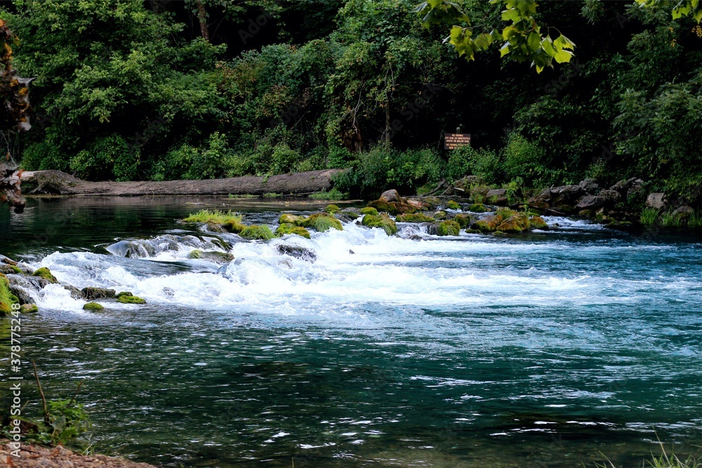 Obraz premium waterfall in the forest