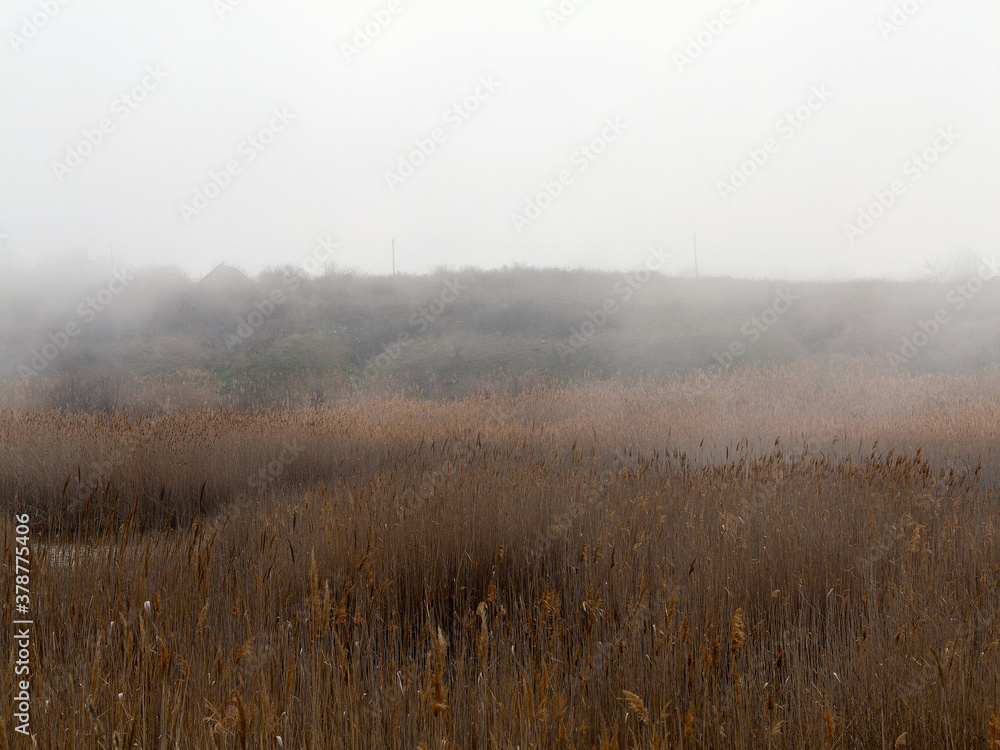 Beautiful rustic authentic landscape. Mist over the lake overgrown with reeds and grass Beautiful rustic authentic landscape. Mist over the lake overgrown with reeds and grass