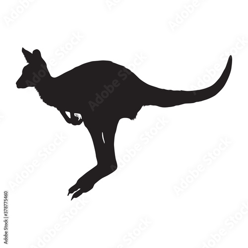 Jumping Kangaroo (Macropus Giganteus) On a Side View Silhouette Found In Map Of Australia And Indonesia. Good To Use For Element Print Book, Animal Book and Animal Content