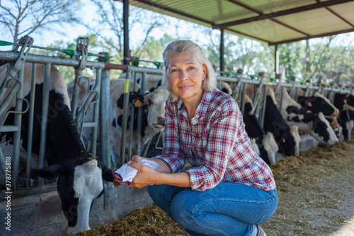Happy woman farmer with her cows.