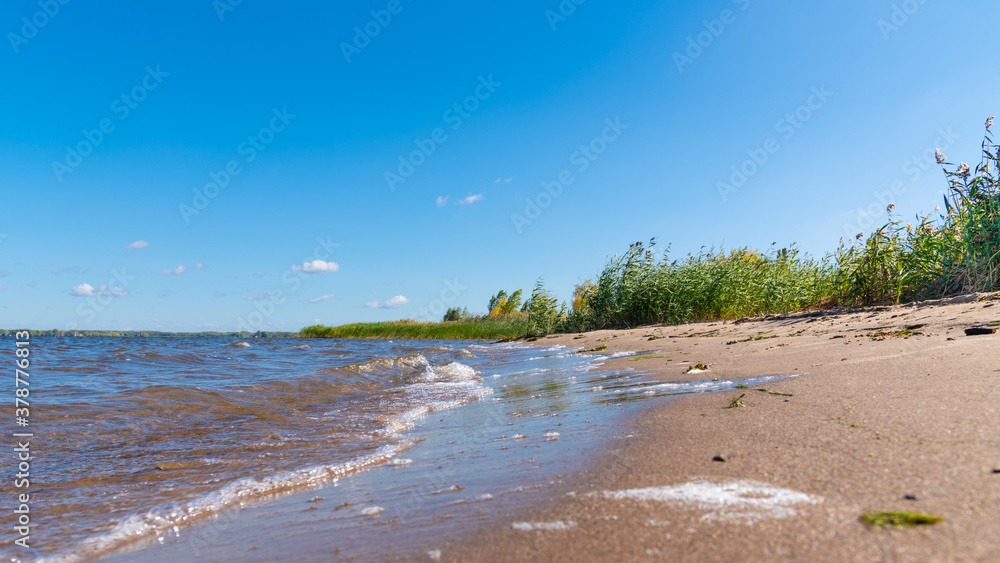 Deserted sandy shore with thickets of bushes, reeds and trees on a sunny day of early autumn Deserted sandy shore with thickets of bushes, reeds and trees on a sunny day of early autumn
