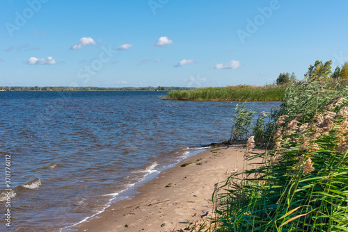 Deserted sandy shore with thickets of bushes  reeds and trees on a sunny day of early autumn
