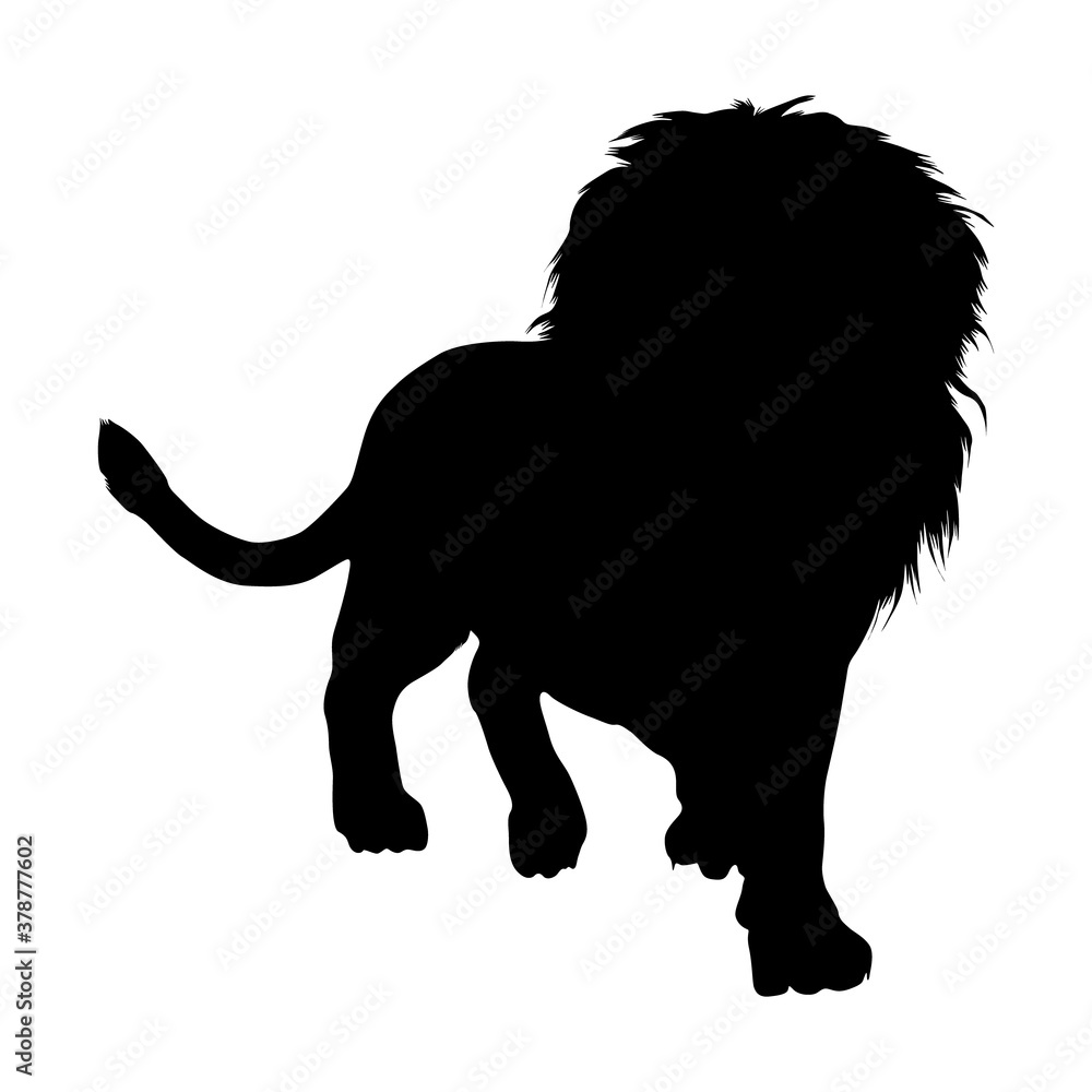 Obraz premium Standing (Panthera leo) On a Front View Silhouette Found In Map Of African. Good To Use For Element Print Book, Animal Book and Animal Content