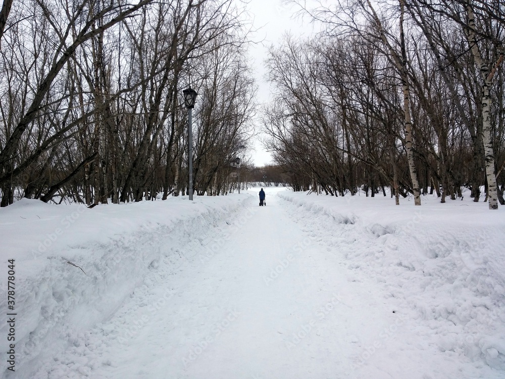 snow covered alley view in the Park Russia