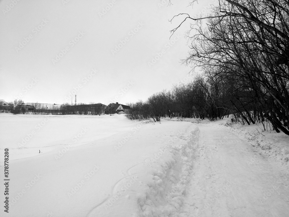 Obraz premium winter black and white frames Park Russia