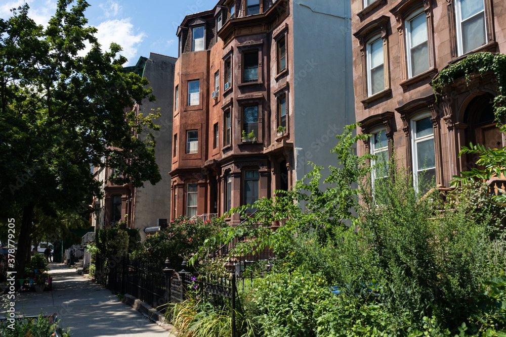 Fototapeta premium Row of Old Brownstone Homes in Bedford-Stuyvesant in Brooklyn of New York City along an Empty Sidewalk