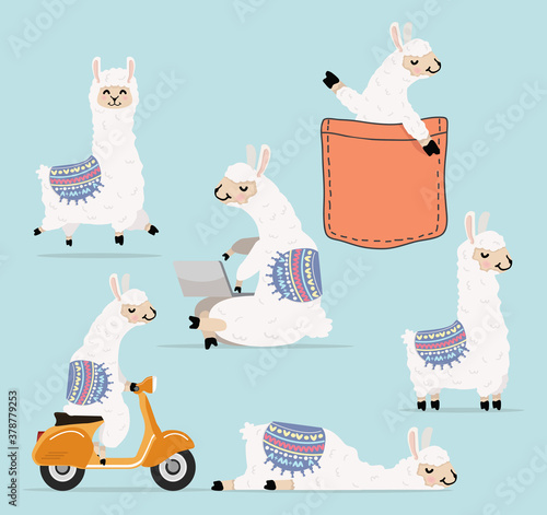 Cartoon llama and alpaca character collection