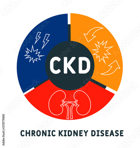 CKD - Chronic Kidney Disease acronym, medical concept background. vector illustration concept with keywords and icons. lettering illustration with icons for web banner, flyer, landing page