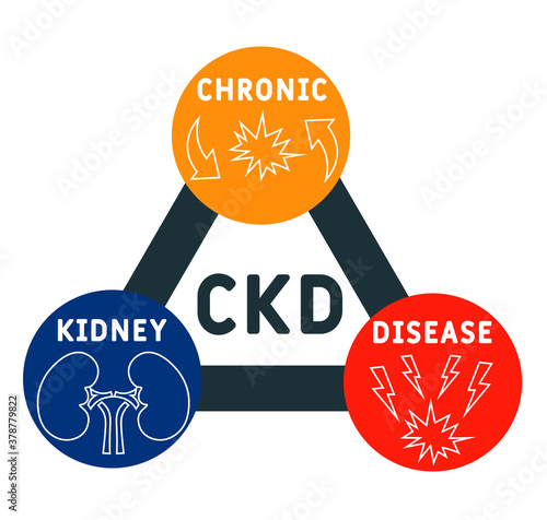 CKD - Chronic Kidney Disease acronym, medical concept background. vector illustration concept with keywords and icons. lettering illustration with icons for web banner, flyer, landing page
