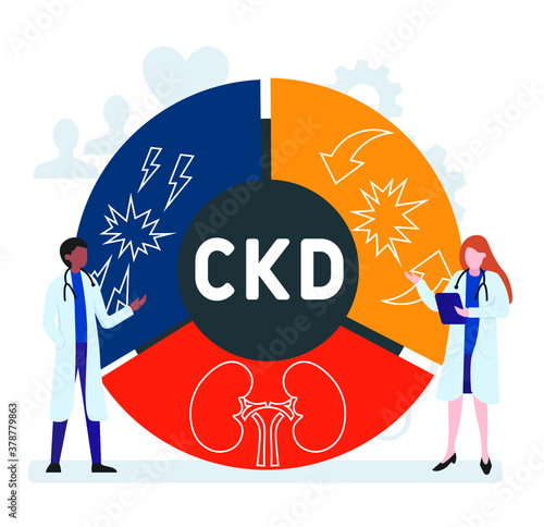 Flat design with people. CKD - Chronic Kidney Disease  acronym, medical concept. Vector illustration for website banner, marketing materials, business presentation, online advertising