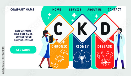 Vector website design template . CKD - Chronic Kidney Disease  acronym, medical concept. illustration for website banner, marketing materials, business presentation, online advertising.