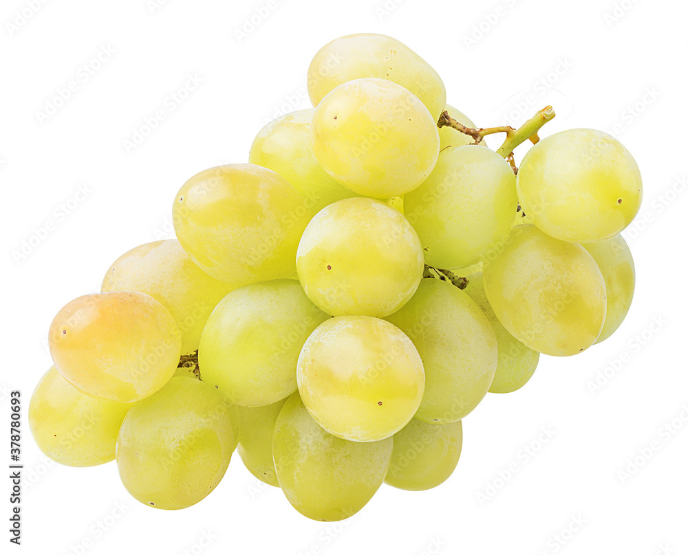 Fresh grapes isolated on white background with clipping pass Fresh grapes isolated on white background with clipping pass