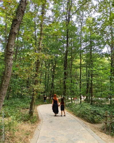 hiking in the forest
