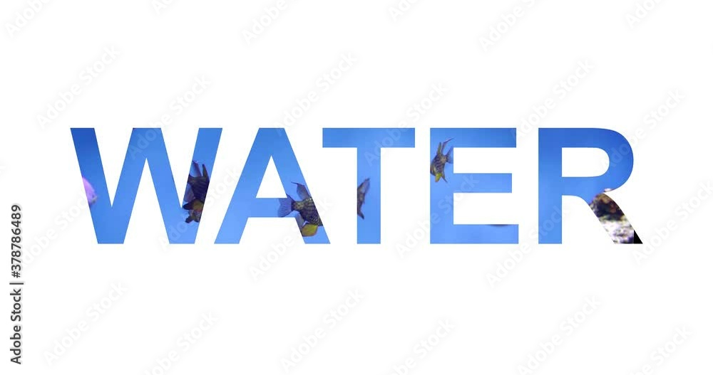 The word The word