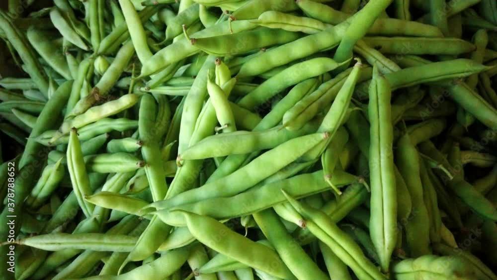 Panning over green beans at a farmers market stand Panning over green beans at a farmers market stand